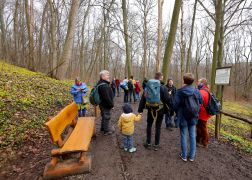 Winterlinge  Gelbe Pracht In Jena 2024 15